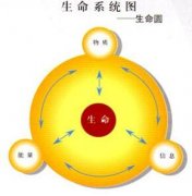 电解水对人体的好处